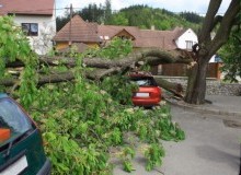 Kwikfynd Tree Cutting Services
banoon